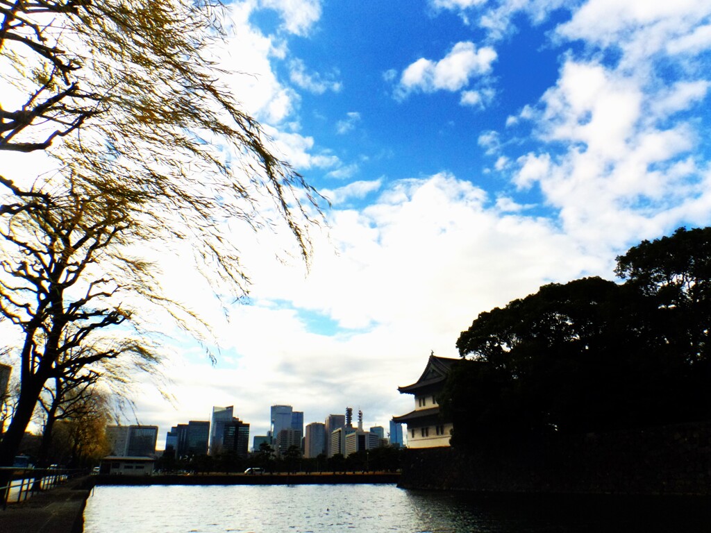 第四千百八十六作　「いやになつかしい　見あげる けふの空色で」　東京都千代田