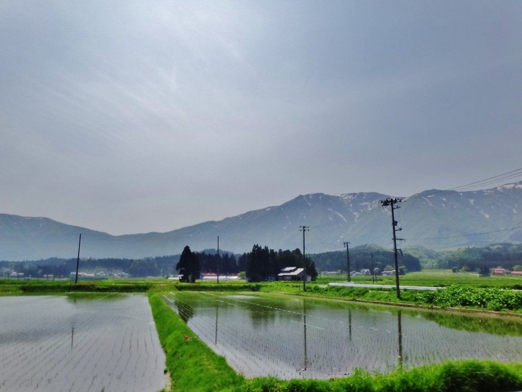 第千八百八作　　「こころしづかに　田面映す　山影に残雪」　秋田県湯沢