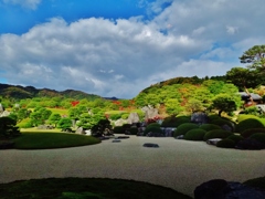 第二千六百九十作　「雲が流るる　遥かな庭の　潔いこと」　島根県安来