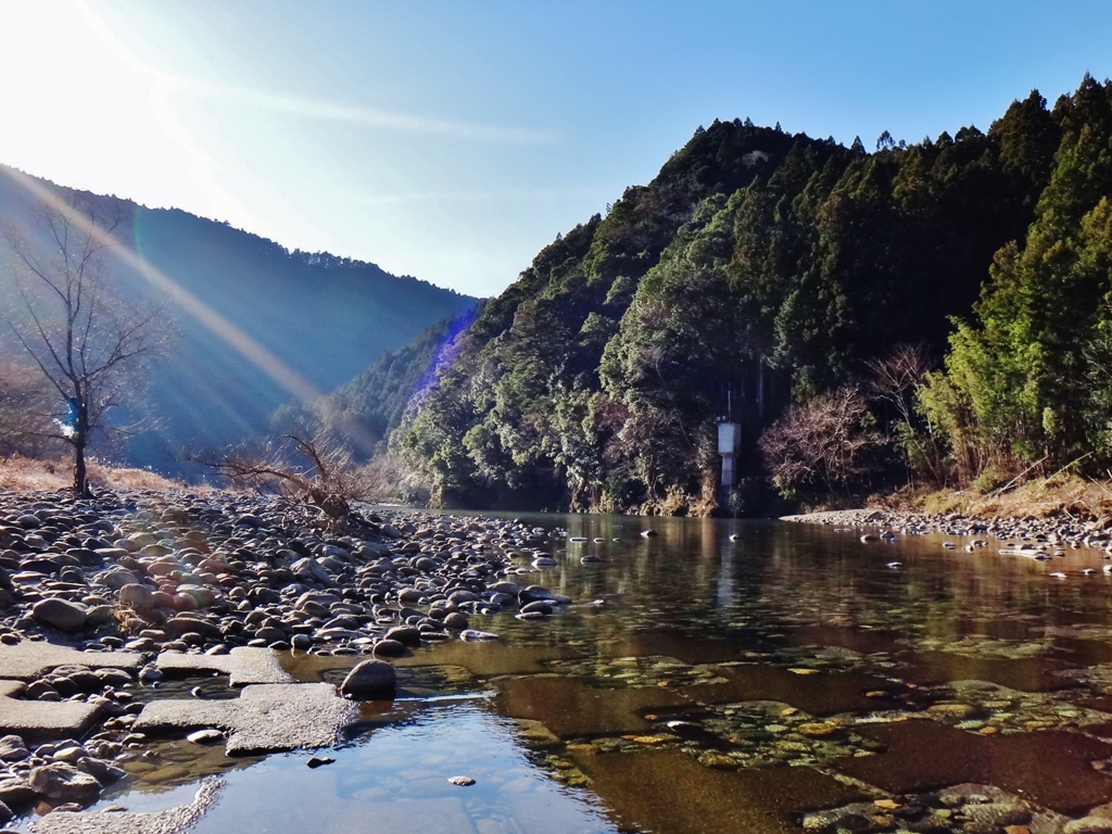 第四千二百二十二作　「陽が沁みいる」　静岡県浦川