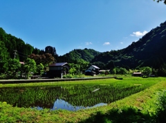 第四千七作　「田へ映す　くつきり山の　良さを味わふ」　福井県和泉