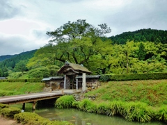 第二千九百八十作　「消へ失せて　五百年経ち　堀の鯉」　福井県一乗谷