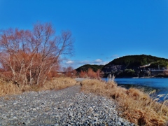 第四千二百七作　「河原　枯れ草の　石ころ蹴とばしても」　静岡県天竜