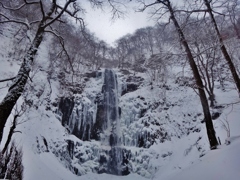 第二千七百五十三作　「雪かきわけて　雪に包まる　滝のれいろう」　山形県酒田