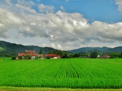 第二千五百六十五作　「追いかけて　追いかけた　旅の空」　山口県阿東