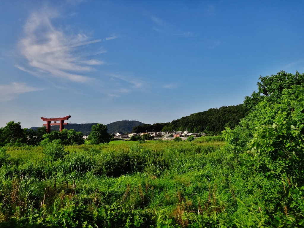 第千百二十二作　　「草いきれの　あれは吉備津の一の鳥居」　岡山県吉備津