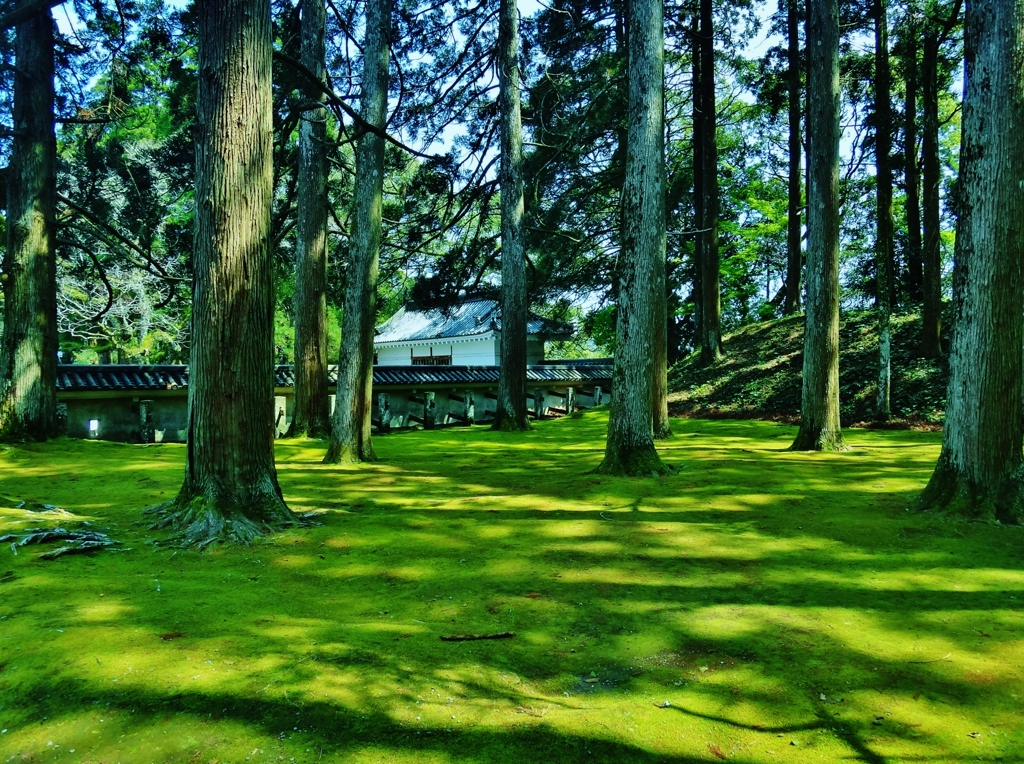第三千九百三十八作　「藩庁や　昔日惜しみ　苔に覆はる」　宮崎県飫肥