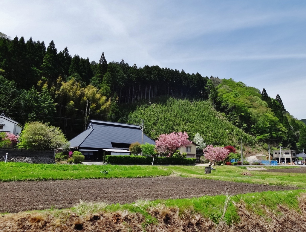 第千七百三十四作　　「花ざかりの　家の影に寄る」　　鳥取県智頭