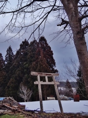 第千三百二十六作　　「さびしさ極まりて　鳥居かたぶひてゐる」　青森県むつ