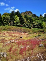 第千百七十六作　　「秋草へ坐はる」　北海道定山渓