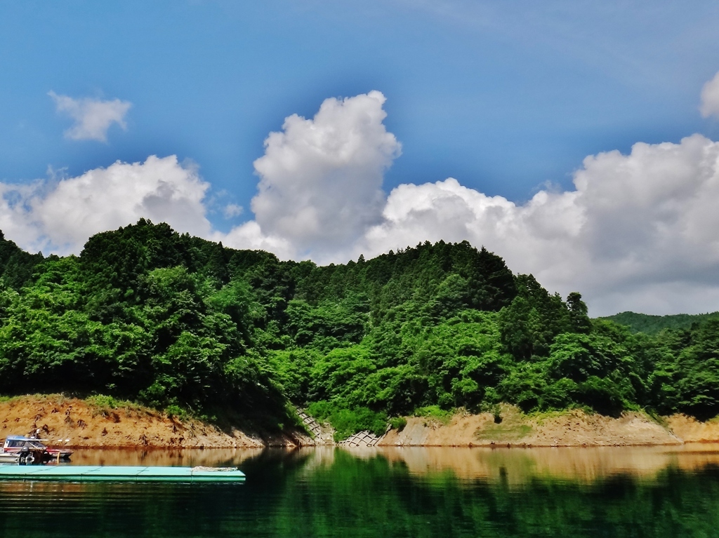 第二千九百三十三作　「夏雲へ　旅に立つ」　神奈川県相模原