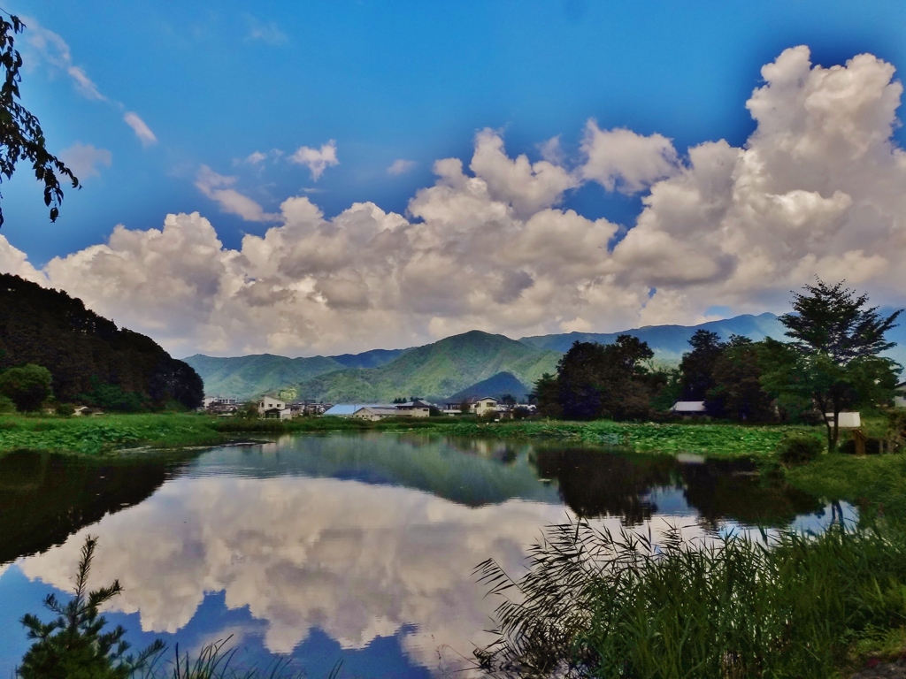 第二千五百八十作　「夏雲の　影はつきりと　池おもて」　山梨県富士吉田