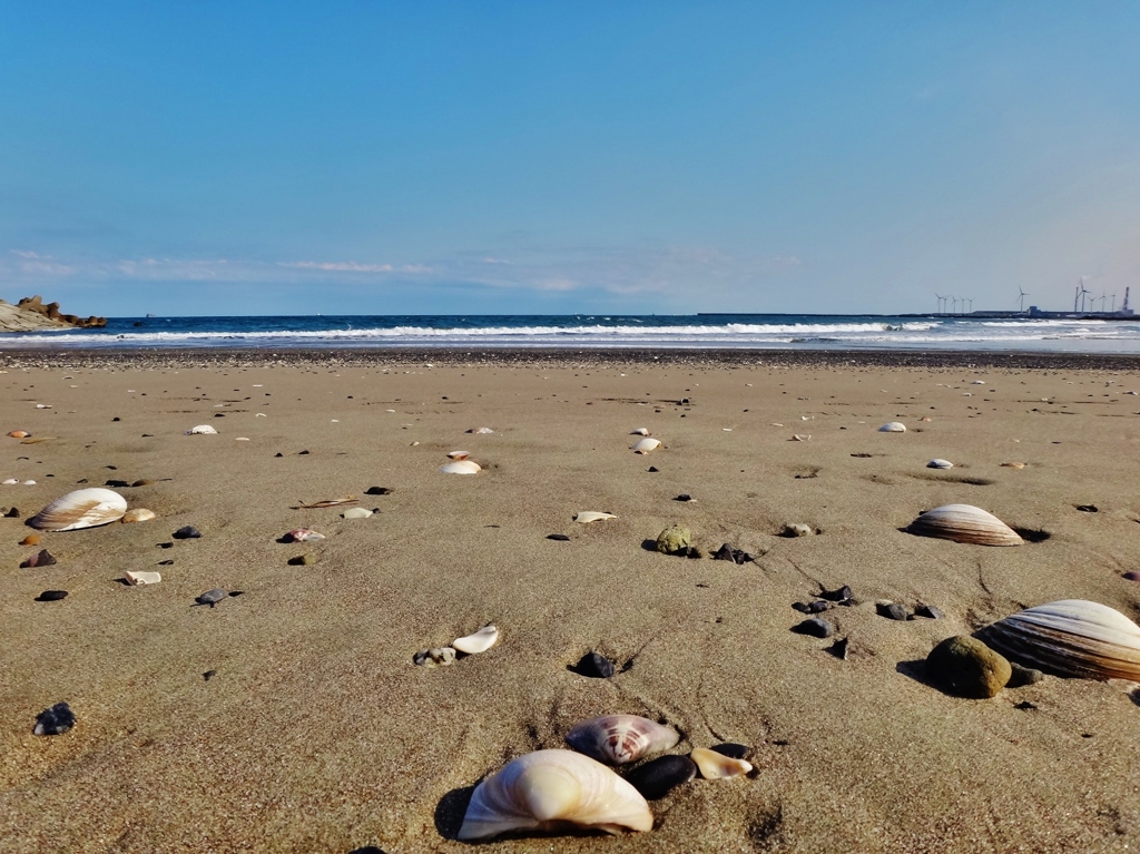 第九百十五作　　「ひき潮や　なんもかも洗いながして　ひき潮」　茨城県鹿嶋