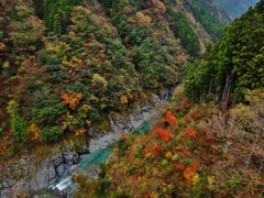 第千六百十一作　　「水音かすかに　深い深い谷川」　徳島県祖谷