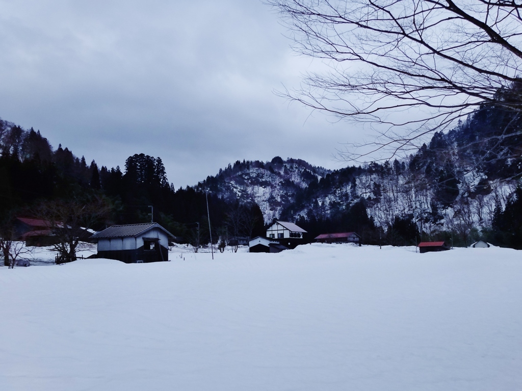 第四千百九十作　「降り積もる　ようやく年も　落ちついた気で」　福井県和泉　
