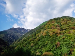 第千二百十一作　　「ふと手をやすめ　山のしずかさ」　熊本県山江