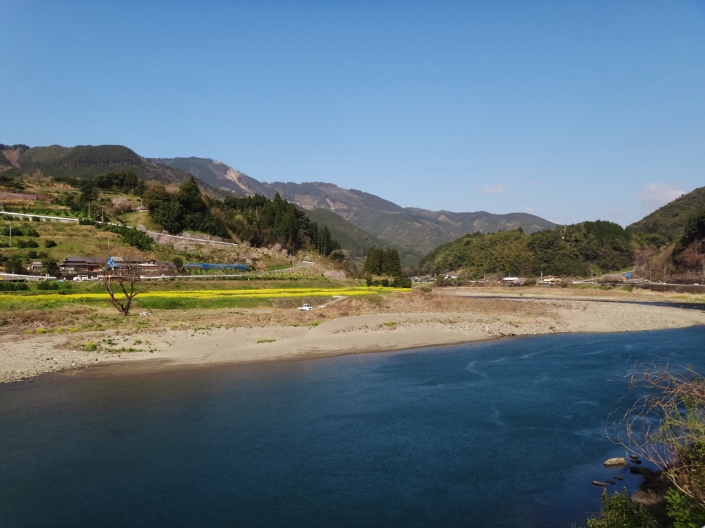 第六百四十八作　　「夢の中まで　菜花咲くまま　咲きみだるる」　宮崎県延岡