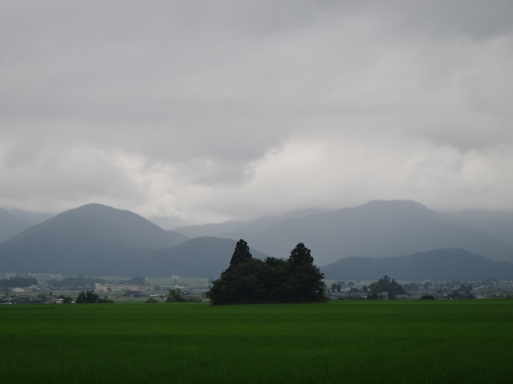 第千八百三十二作　　「言はれてみれば　あれが猫森といふ　蛙さへずる」　福井県蕨生