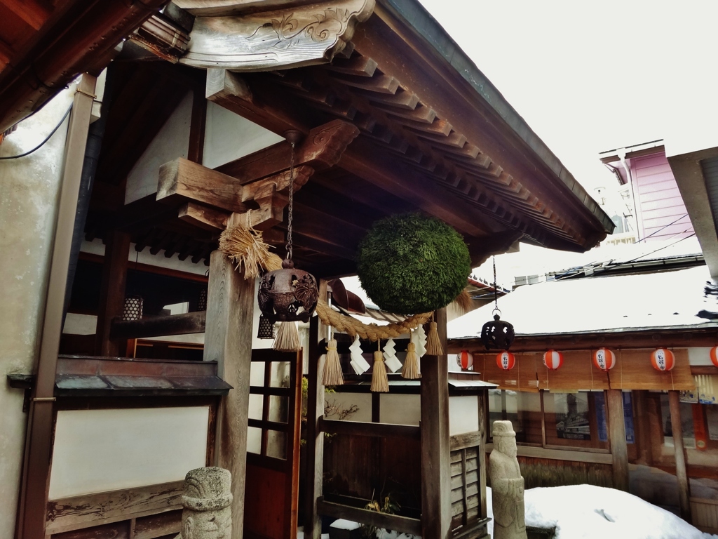 第三千四百九十一作　「杉玉あをあを　新酒に呼ばるる」　山形県鶴岡