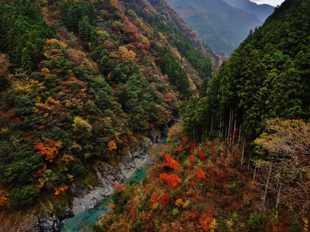 第三千五十六作　「秋ふかく　山ふかく　谷のふかさを」　徳島県祖谷