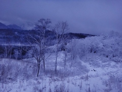 第千六百十四作　　「瞼あげれば　しづかに積もつた　雪の暁」　秋田県木地山