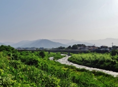 第千八百七十三作　　「満たされない　夏草　繁り繁れるままに」　山梨県塩山