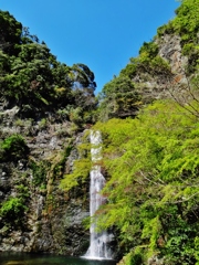 第二千四百七十二作　「若葉　踏みいれば　水音たしかに」　大阪府箕面