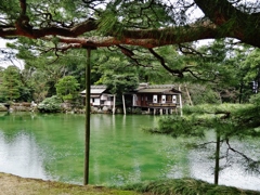 第千七百十六作　　「すつかりあたたかな　わたしばかりが病んでゐる」　　石川県金沢