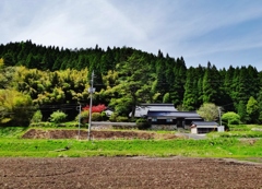 第三千九百四十五作　「山を越へれば　こちらはやうやく　田起こしで」　鳥取県三朝