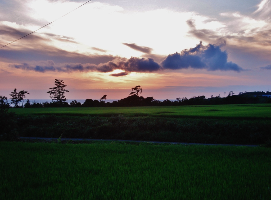 第三千六百七十一作　「ゆふ暮るる　田んぼ見まはれば　汐の香」　石川県志賀