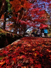 第千二百四十八作　　「秋の影を踏む」　京都府山科