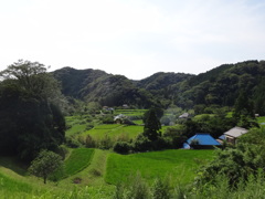 第千百四十七作　　「とうげみち　午後二時まえの　郵便屋さん」　千葉県志駒