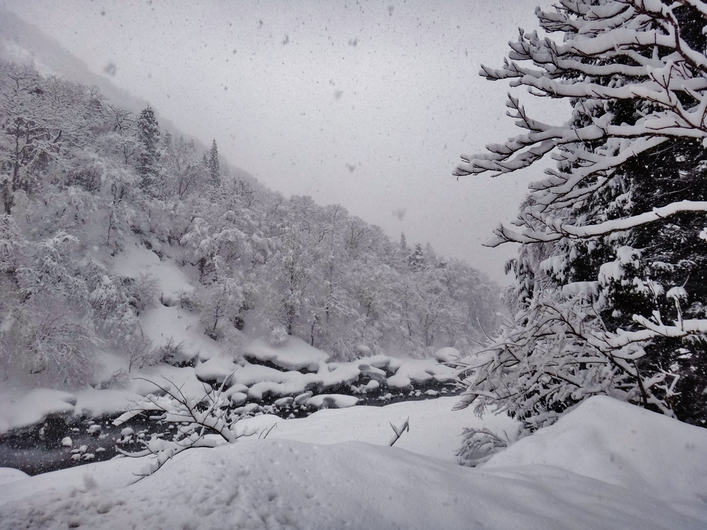 第三千八百四十六作　「雪つぶての　厳しさまともに　川へと向かふ」　福井県大納