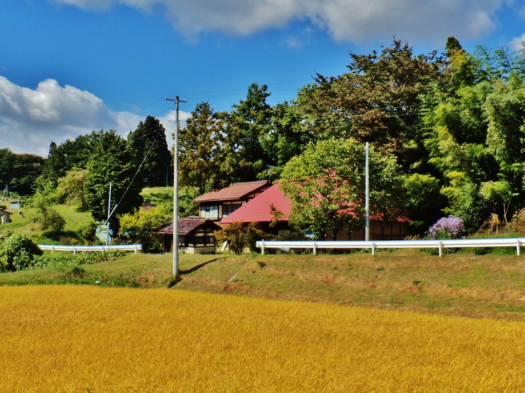 第三千七百四十五作　「秋収め近くして　昭和懐かしむ」　福島県郡山