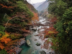 第千五百九十七作　　「雨降らば　木の葉舞い降る　かづらの橋」　徳島県祖谷