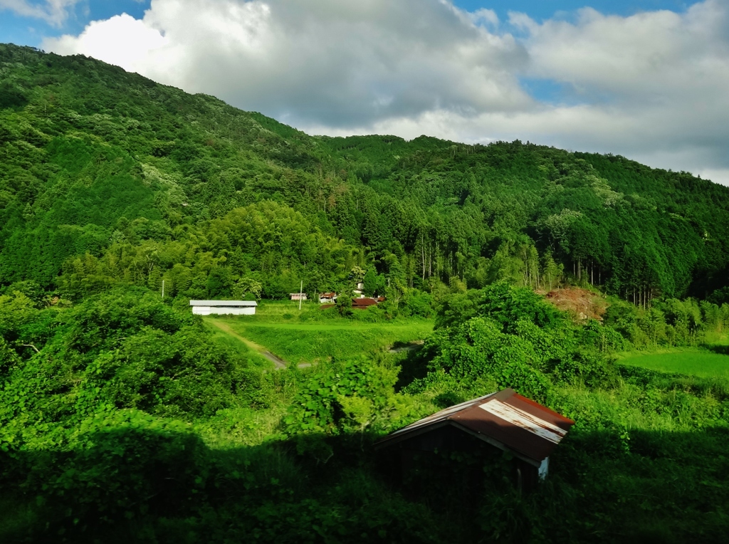 第七百八十二作　　「夏空の　山へ山へと　蝉しぐれ」　山口県仁保　
