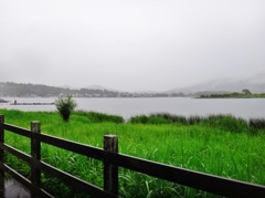 第三千六百三十六作　「雨の叩ける　草の音を聴く」　山梨県山中湖