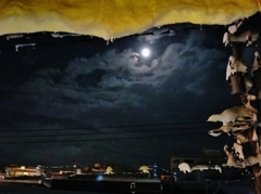 第四千二百二十六作「鬼は外福は内　仰げばまあるい　月がでてゐて」福井県大野