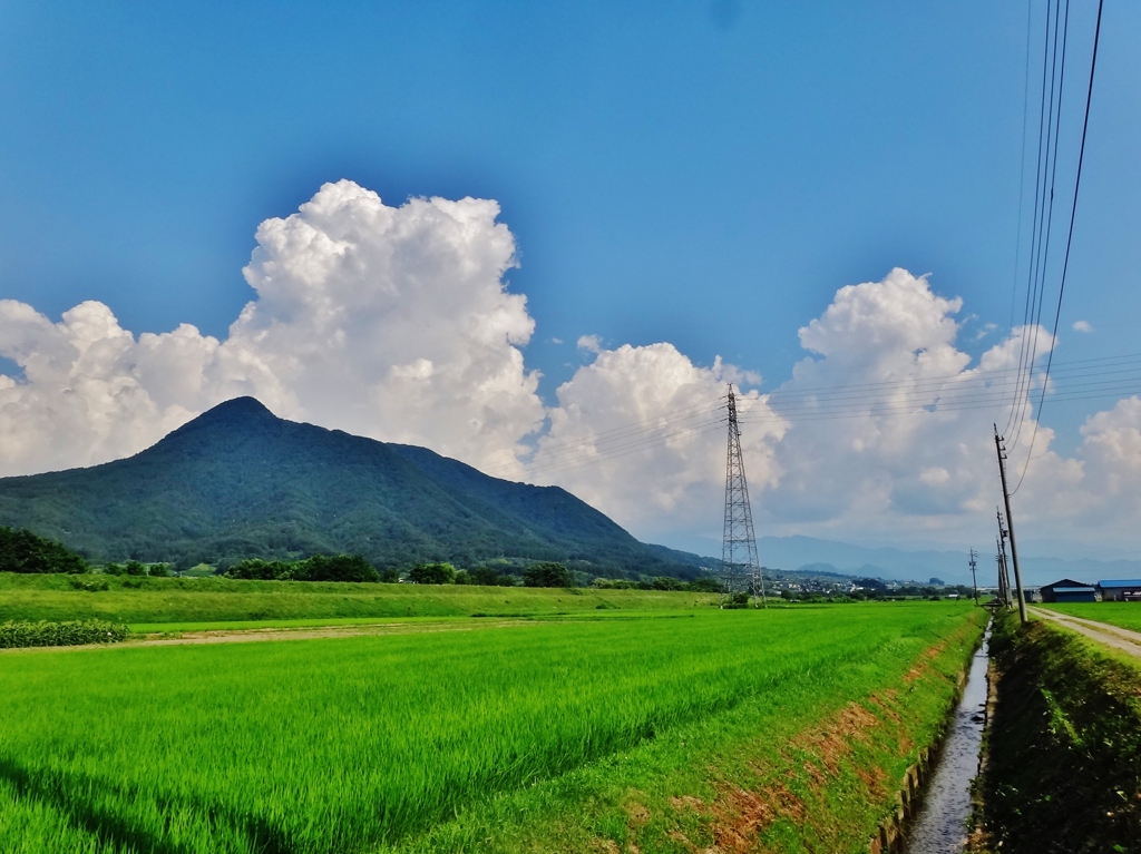 第三千六百六十作　「夏山越へて　夏の雲追ふ　田んぼ路」　長野県飯山