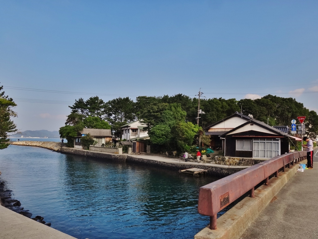 第八百八十四作　　「釣りあげられて　子ふぐの一つ二つ」　山口県萩　