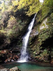第四千百七十二作　「水もろともに　流れて捲ひて　木の葉かな」　徳島県祖谷