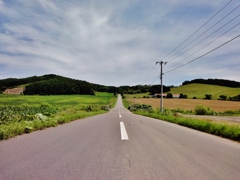 第千百三十三作　　「曲がらぬ路は　曲がらぬままに　あゆむ」　北海道津別