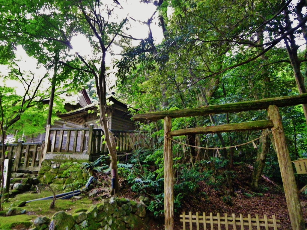 第二千九百三十一作　「苔むして　鳥居吹き抜く　森の囁きを」　石川県羽咋