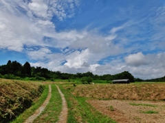 第七百八十一作　　「わたしはわたしでよいとおもふ　この路をゆく」　福島県南相馬　