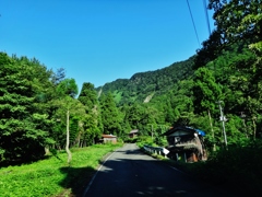 第七百七十二作　　「これよりは家も無し　いつせいの蝉しぐれ」　新潟県糸魚川　