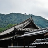 第八百四十八作　　「見上げれば　ひつそりかんと山に城」　山口県岩国