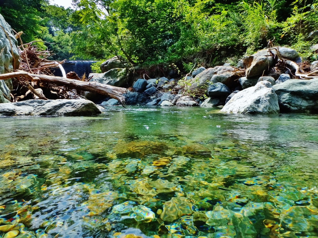 第三千三百三作　「水底の　石かがやけり　夏の陽白く」　新潟県糸魚川