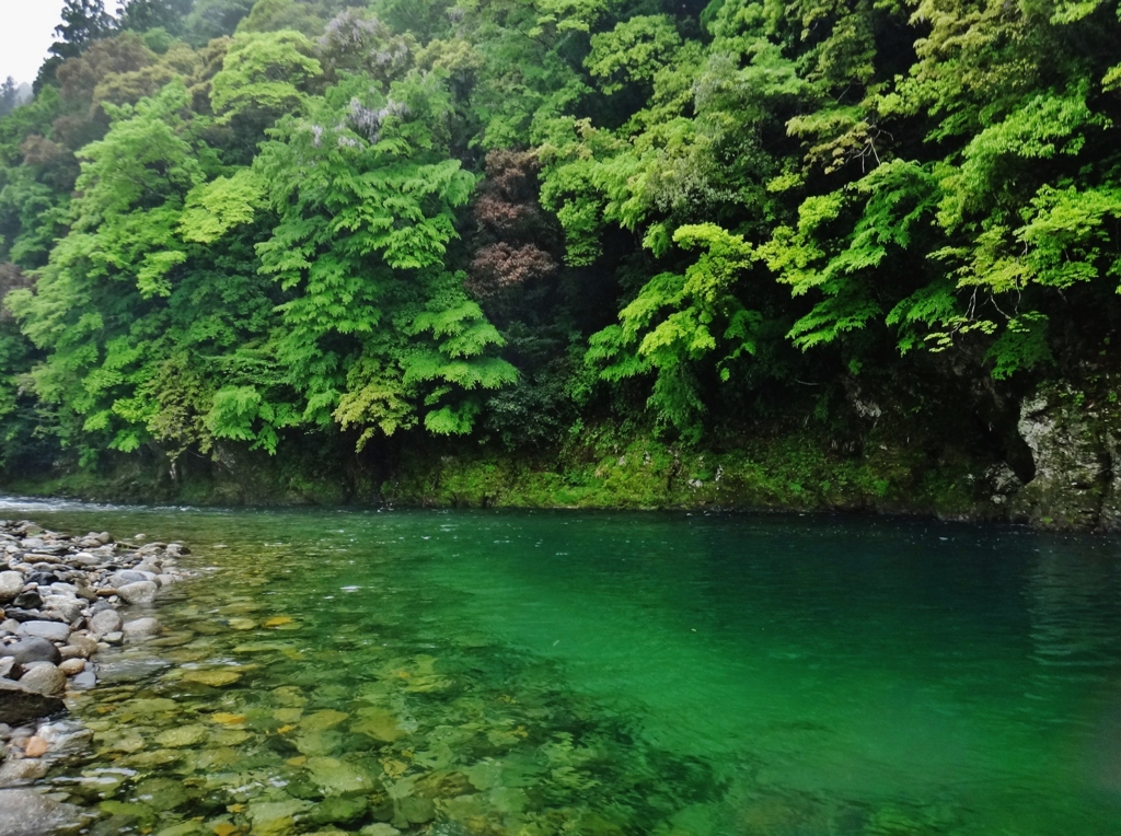 第三千二百八作　「春の雨降る　ふちの深々　深みどり」　静岡県浦川