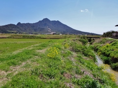 第六百四十四作　　「春風に酔う　獺と眠る夢をみた小川」　山口県防府　