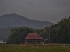 第千六百二十五作　　「雨空の　山越へを　いそぐ」　香川県満農